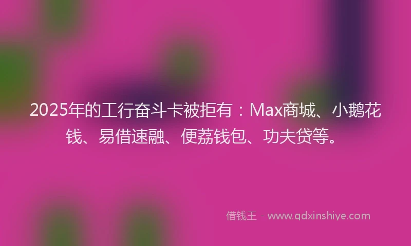 2025年的工行奋斗卡被拒有：Max商城、小鹅花钱、易借速融、便荔钱包、功夫贷等。