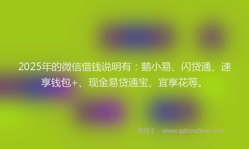 2025年的微信借钱说明有：鹅小易、闪贷通、速享钱包+、现金易贷通宝、宜享花等。