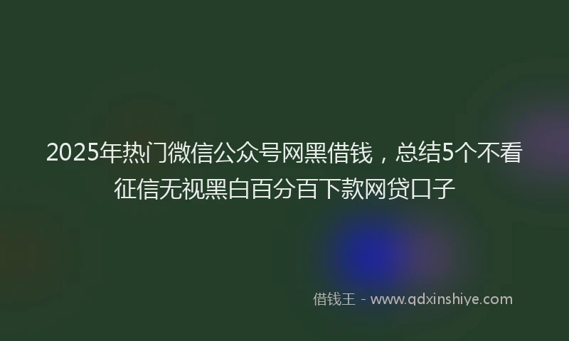 2025年热门微信公众号网黑借钱，总结5个不看征信无视黑白百分百下款网贷口子