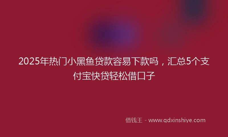 2025年热门小黑鱼贷款容易下款吗，汇总5个支付宝快贷轻松借口子