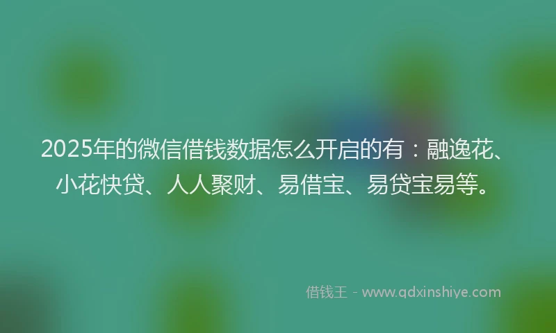 2025年的微信借钱数据怎么开启的有：融逸花、小花快贷、人人聚财、易借宝、易贷宝易等。