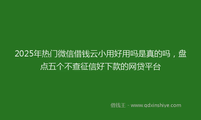 2025年热门微信借钱云小用好用吗是真的吗，盘点五个不查征信好下款的网贷平台