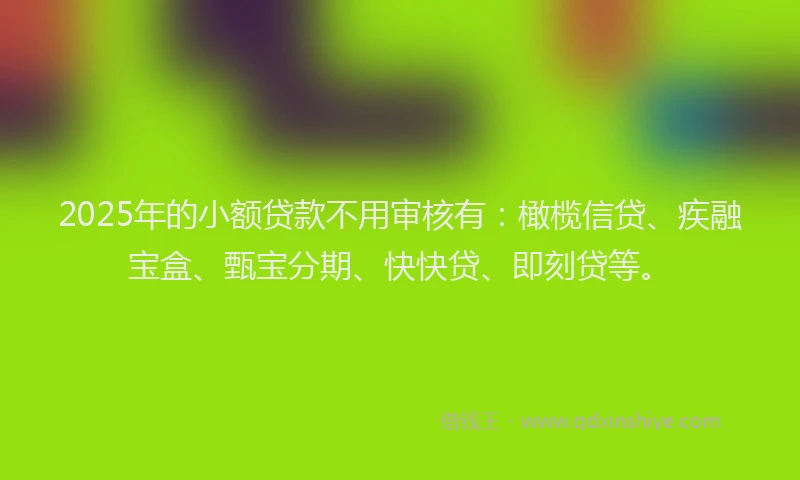 2025年的小额贷款不用审核有：橄榄信贷、疾融宝盒、甄宝分期、快快贷、即刻贷等。