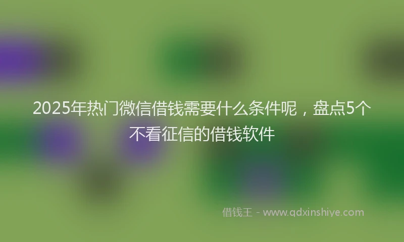 2025年热门微信借钱需要什么条件呢，盘点5个不看征信的借钱软件