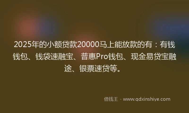 2025年的小额贷款20000马上能放款的有：有钱钱包、钱袋速融宝、普惠Pro钱包、现金易贷宝融途、银票速贷等。