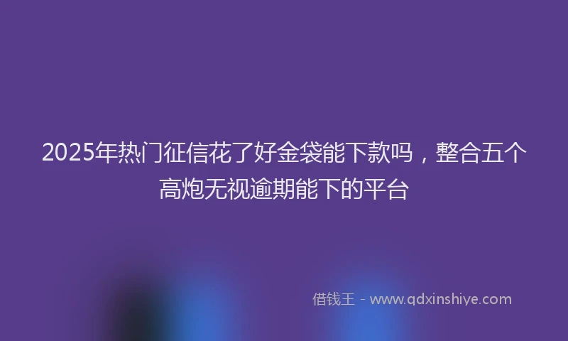 2025年热门征信花了好金袋能下款吗，整合五个高炮无视逾期能下的平台