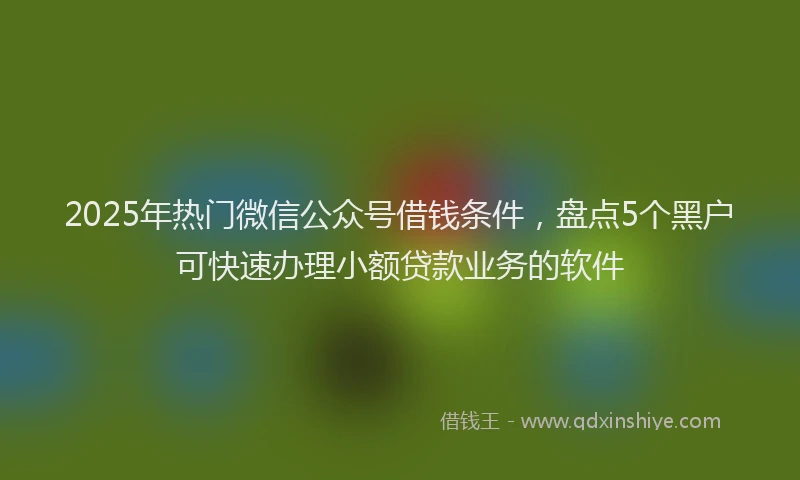 2025年热门微信公众号借钱条件，盘点5个黑户可快速办理小额贷款业务的软件
