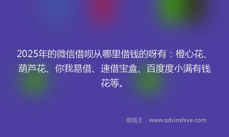 2025年的微信借呗从哪里借钱的呀有：橙心花、葫芦花、你我易借、速借宝盒、百度度小满有钱花等。