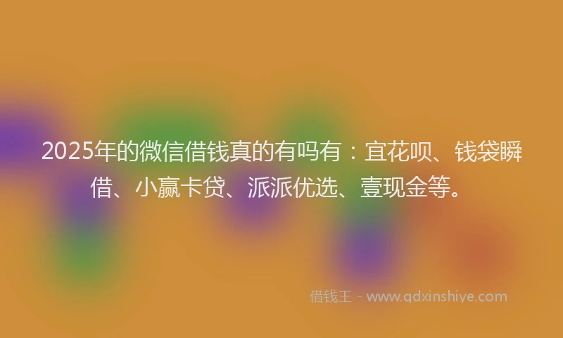 2025年的微信借钱真的有吗有：宜花呗、钱袋瞬借、小赢卡贷、派派优选、壹现金等。