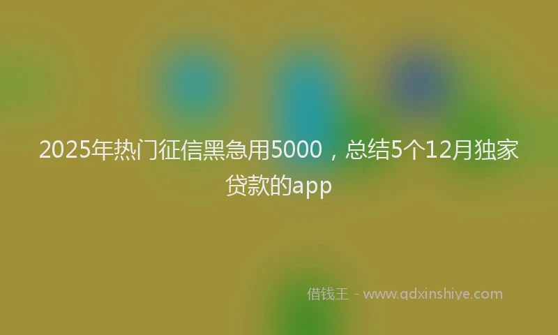 2025年热门征信黑急用5000，总结5个12月独家贷款的app
