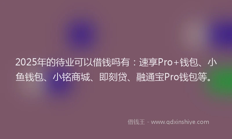 2025年的待业可以借钱吗有：速享Pro+钱包、小鱼钱包、小铭商城、即刻贷、融通宝Pro钱包等。
