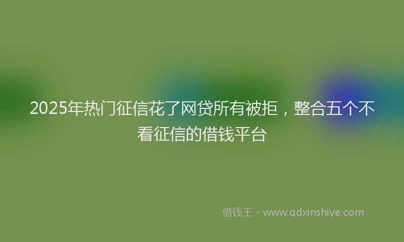 2025年热门征信花了网贷所有被拒，整合五个不看征信的借钱平台