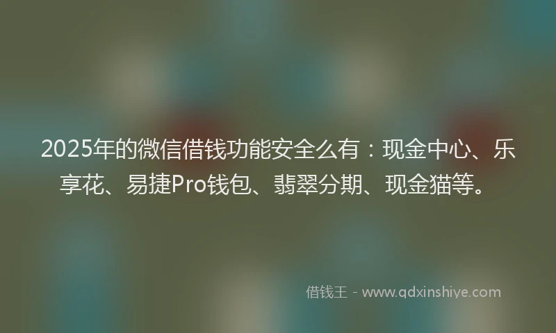 2025年的微信借钱功能安全么有：现金中心、乐享花、易捷Pro钱包、翡翠分期、现金猫等。