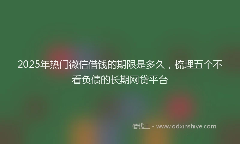 2025年热门微信借钱的期限是多久，梳理五个不看负债的长期网贷平台