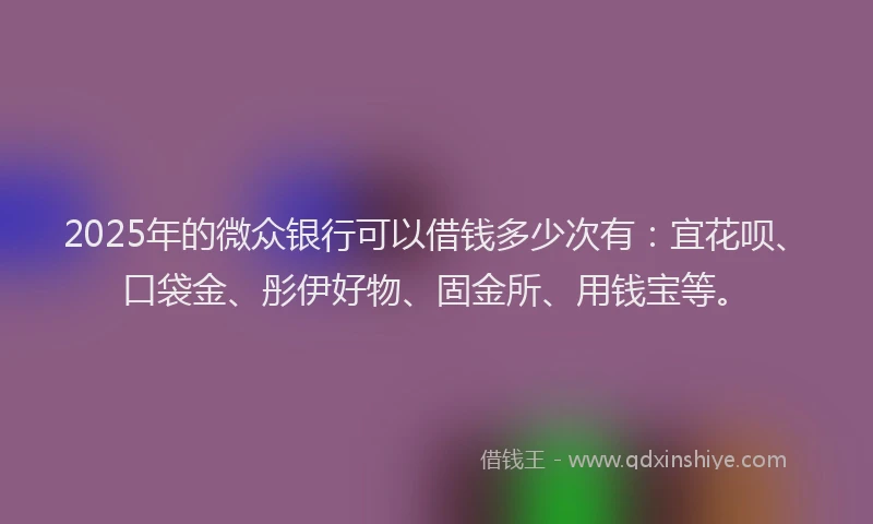 2025年的微众银行可以借钱多少次有：宜花呗、口袋金、彤伊好物、固金所、用钱宝等。