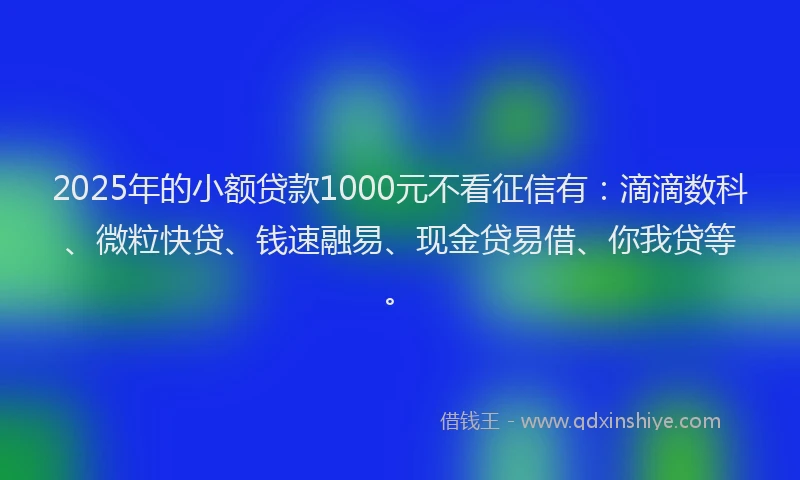 2025年的小额贷款1000元不看征信有：滴滴数科、微粒快贷、钱速融易、现金贷易借、你我贷等。