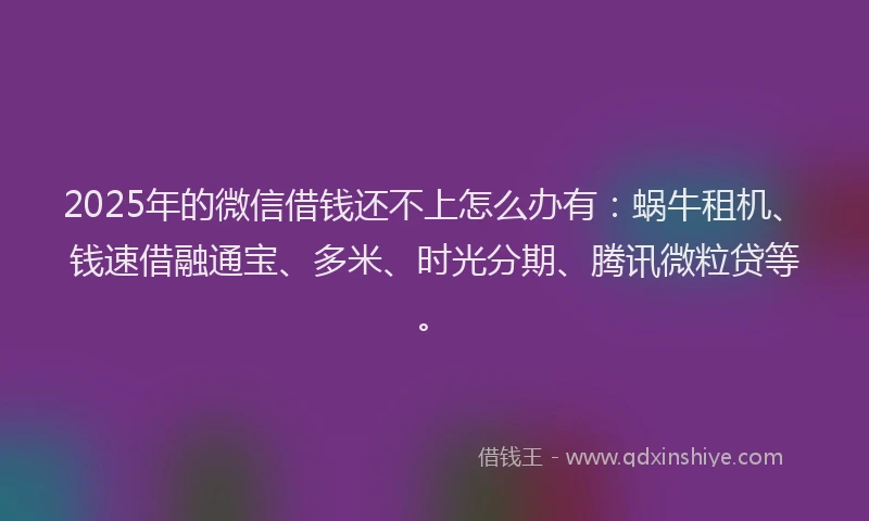 2025年的微信借钱还不上怎么办有：蜗牛租机、钱速借融通宝、多米、时光分期、腾讯微粒贷等。
