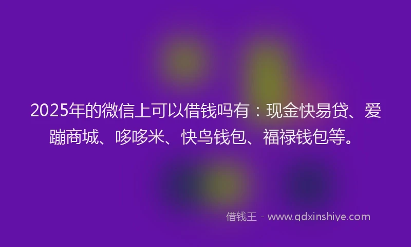 2025年的微信上可以借钱吗有：现金快易贷、爱蹦商城、哆哆米、快鸟钱包、福禄钱包等。