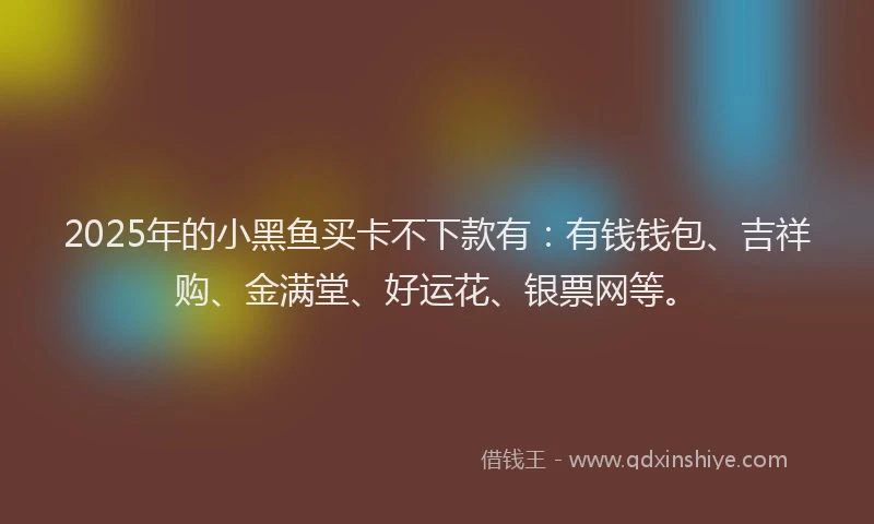 2025年的小黑鱼买卡不下款有：有钱钱包、吉祥购、金满堂、好运花、银票网等。