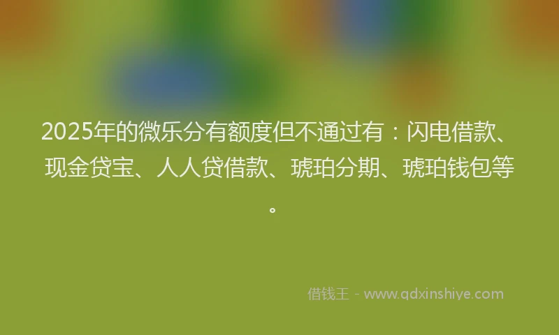 2025年的微乐分有额度但不通过有：闪电借款、现金贷宝、人人贷借款、琥珀分期、琥珀钱包等。