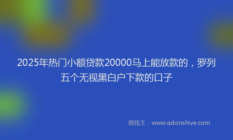 2025年热门小额贷款20000马上能放款的，罗列五个无视黑白户下款的口子