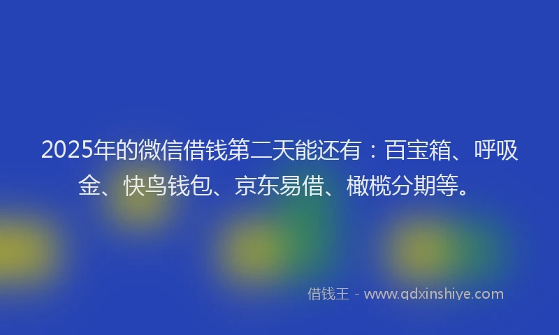 2025年的微信借钱第二天能还有：百宝箱、呼吸金、快鸟钱包、京东易借、橄榄分期等。