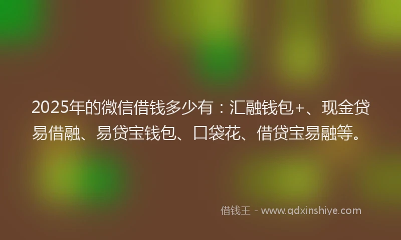 2025年的微信借钱多少有：汇融钱包+、现金贷易借融、易贷宝钱包、口袋花、借贷宝易融等。