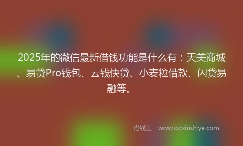 2025年的微信最新借钱功能是什么有：天美商城、易贷Pro钱包、云钱快贷、小麦粒借款、闪贷易融等。