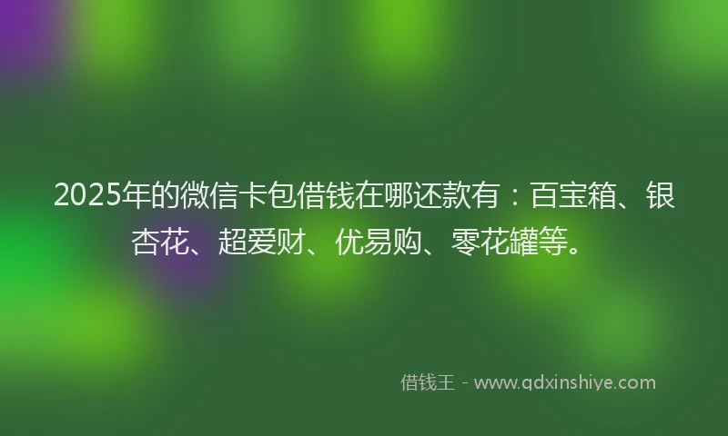 2025年的微信卡包借钱在哪还款有：百宝箱、银杏花、超爱财、优易购、零花罐等。