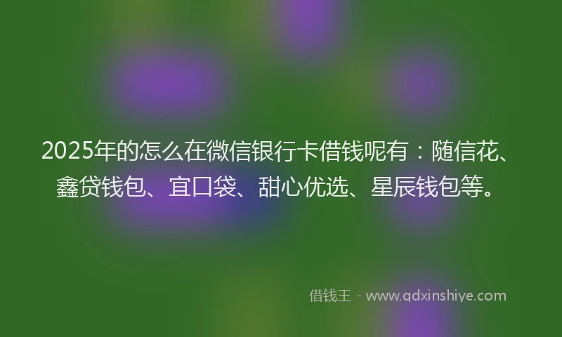 2025年的怎么在微信银行卡借钱呢有：随信花、鑫贷钱包、宜口袋、甜心优选、星辰钱包等。