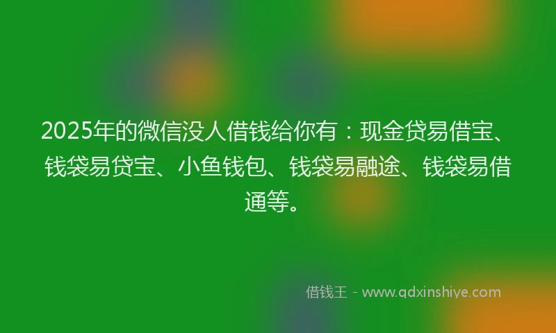 2025年的微信没人借钱给你有：现金贷易借宝、钱袋易贷宝、小鱼钱包、钱袋易融途、钱袋易借通等。