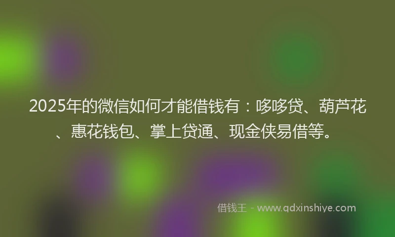 2025年的微信如何才能借钱有：哆哆贷、葫芦花、惠花钱包、掌上贷通、现金侠易借等。