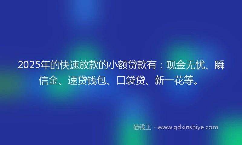 2025年的快速放款的小额贷款有：现金无忧、瞬信金、速贷钱包、口袋贷、新一花等。