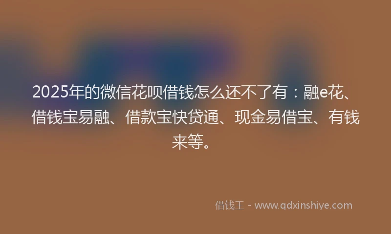 2025年的微信花呗借钱怎么还不了有：融e花、借钱宝易融、借款宝快贷通、现金易借宝、有钱来等。
