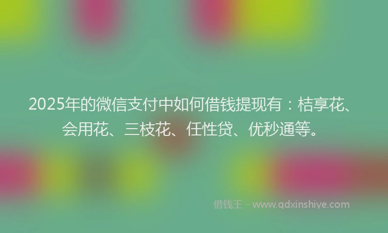 2025年的微信支付中如何借钱提现有：桔享花、会用花、三枝花、任性贷、优秒通等。