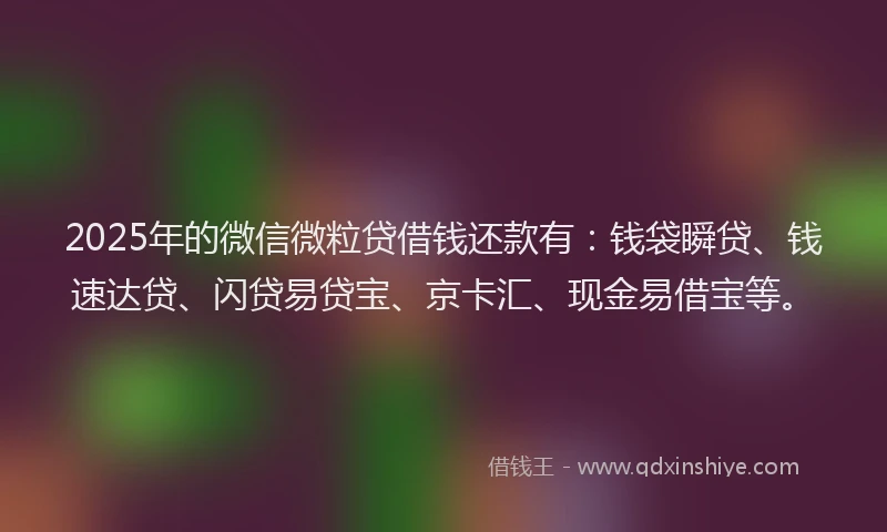 2025年的微信微粒贷借钱还款有：钱袋瞬贷、钱速达贷、闪贷易贷宝、京卡汇、现金易借宝等。