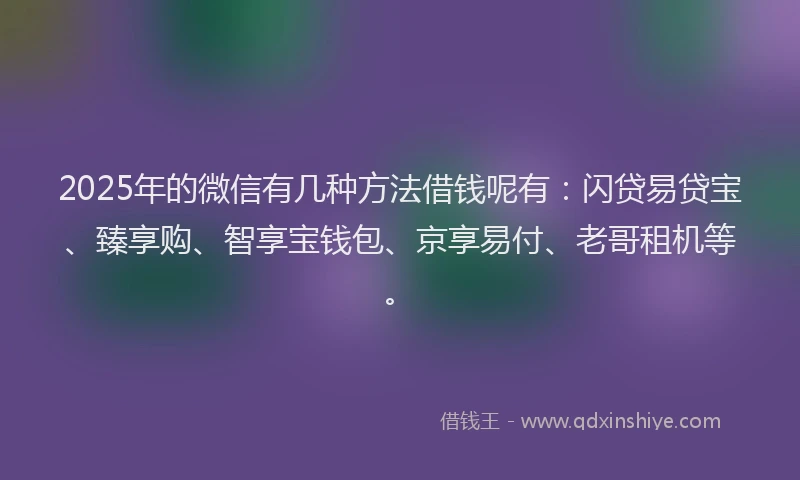 2025年的微信有几种方法借钱呢有：闪贷易贷宝、臻享购、智享宝钱包、京享易付、老哥租机等。
