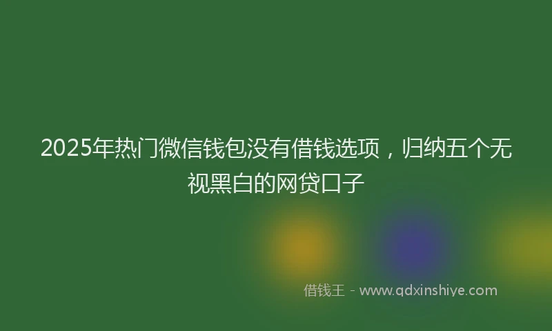 2025年热门微信钱包没有借钱选项，归纳五个无视黑白的网贷口子