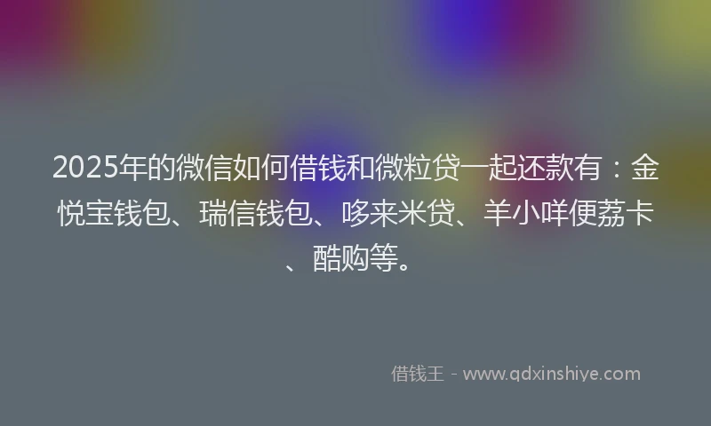 2025年的微信如何借钱和微粒贷一起还款有：金悦宝钱包、瑞信钱包、哆来米贷、羊小咩便荔卡、酷购等。
