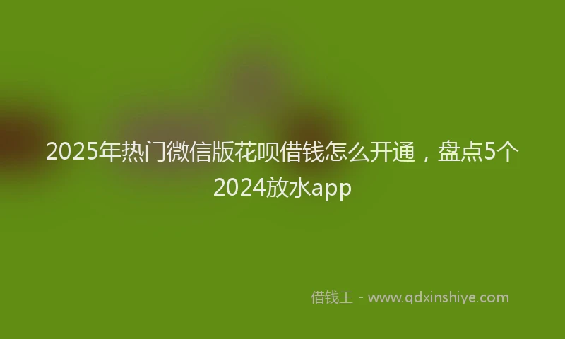 2025年热门微信版花呗借钱怎么开通，盘点5个2024放水app