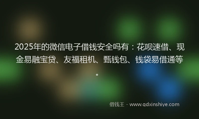 2025年的微信电子借钱安全吗有：花呗速借、现金易融宝贷、友福租机、甄钱包、钱袋易借通等。