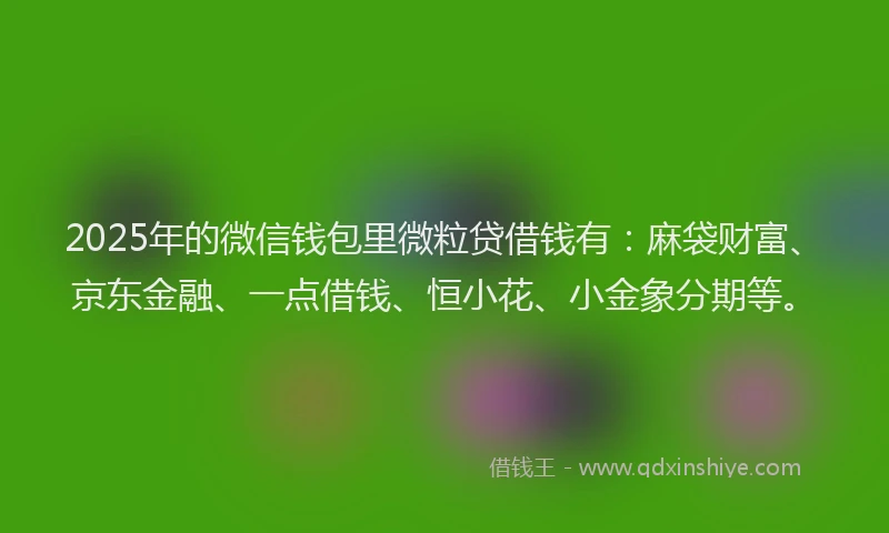 2025年的微信钱包里微粒贷借钱有：麻袋财富、京东金融、一点借钱、恒小花、小金象分期等。