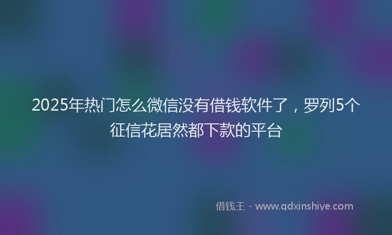 2025年热门怎么微信没有借钱软件了，罗列5个征信花居然都下款的平台
