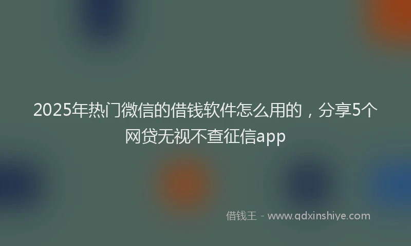 2025年热门微信的借钱软件怎么用的，分享5个网贷无视不查征信app