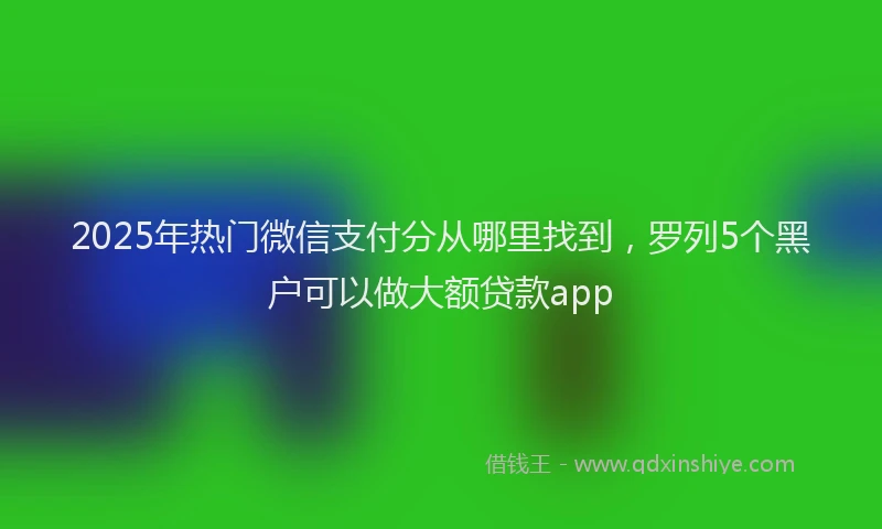 2025年热门微信支付分从哪里找到，罗列5个黑户可以做大额贷款app