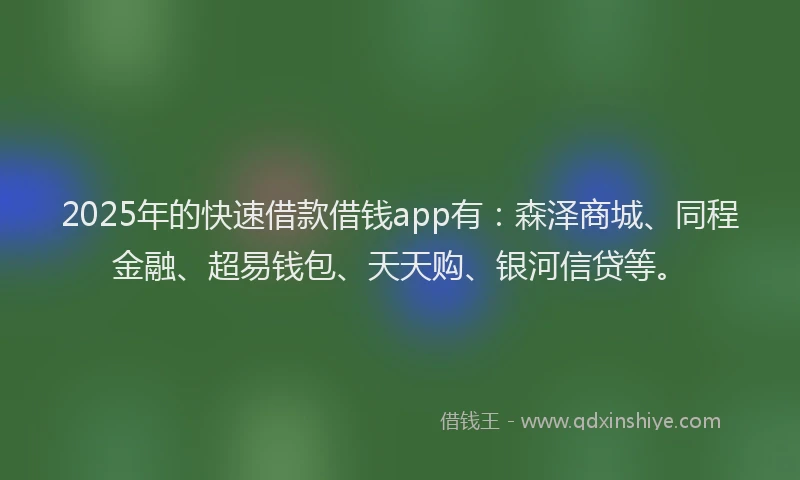 2025年的快速借款借钱app有：森泽商城、同程金融、超易钱包、天天购、银河信贷等。
