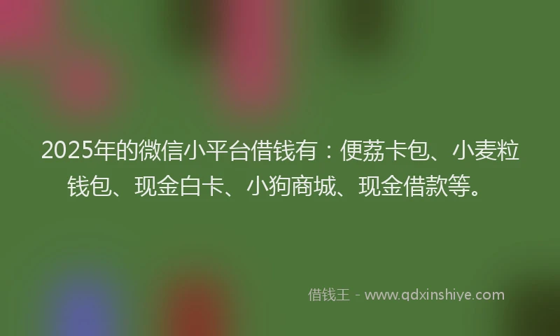 2025年的微信小平台借钱有：便荔卡包、小麦粒钱包、现金白卡、小狗商城、现金借款等。