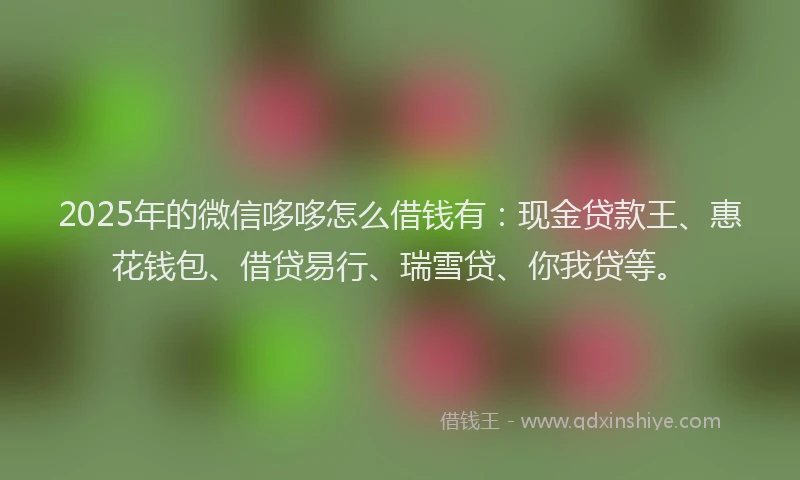 2025年的微信哆哆怎么借钱有：现金贷款王、惠花钱包、借贷易行、瑞雪贷、你我贷等。