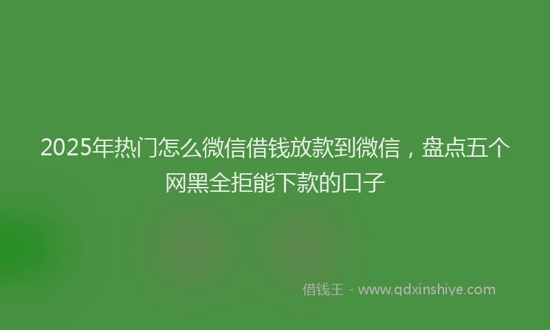 2025年热门怎么微信借钱放款到微信，盘点五个网黑全拒能下款的口子