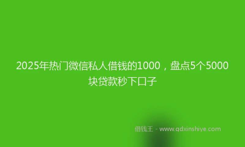2025年热门微信私人借钱的1000，盘点5个5000块贷款秒下口子
